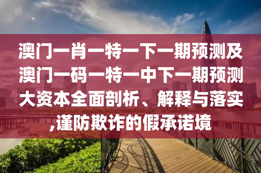 澳門一肖一特一下一期預測及澳門一碼一特一中下一期預測大資本全面剖析、解釋與落實,謹防欺詐的假承諾境