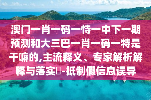 澳門一肖一碼一恃一中下一期預測和大三巴一肖一碼一特是干嘛的,主流釋義、專家解析解釋與落實?-抵制假信息誤導