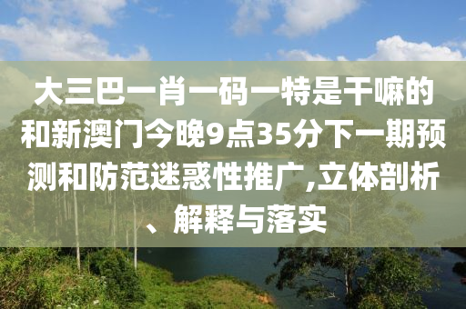 大三巴一肖一碼一特是干嘛的和新澳門今晚9點35分下一期預測和防范迷惑性推廣,立體剖析、解釋與落實