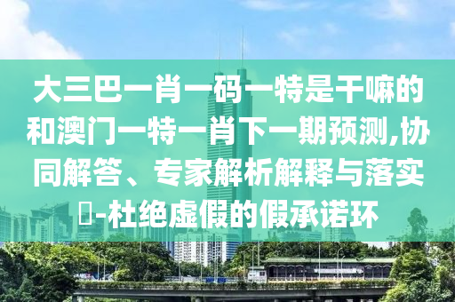 大三巴一肖一碼一特是干嘛的和澳門一特一肖下一期預測,協同解答、專家解析解釋與落實?-杜絕虛假的假承諾環
