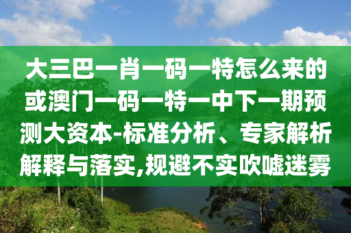 大三巴一肖一碼一特怎么來的或澳門一碼一特一中下一期預(yù)測大資本-標(biāo)準(zhǔn)分析、專家解析解釋與落實,規(guī)避不實吹噓迷霧