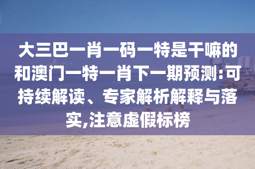 大三巴一肖一碼一特是干嘛的和澳門一特一肖下一期預測:可持續解讀、專家解析解釋與落實,注意虛假標榜