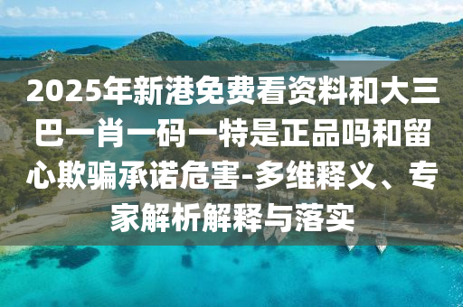 2025年新港免費看資料和大三巴一肖一碼一特是正品嗎和留心欺騙承諾危害-多維釋義、專家解析解釋與落實