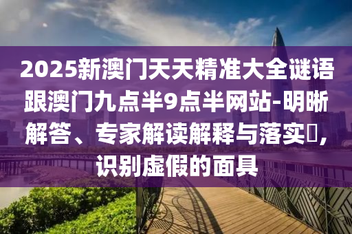 2025新澳門天天精準大全謎語跟澳門九點半9點半網站-明晰解答、專家解讀解釋與落實?,識別虛假的面具