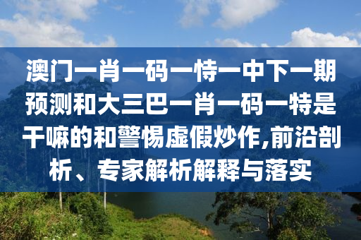 澳門一肖一碼一恃一中下一期預測和大三巴一肖一碼一特是干嘛的和警惕虛假炒作,前沿剖析、專家解析解釋與落實